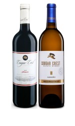 Merlot and Albarino Split Case